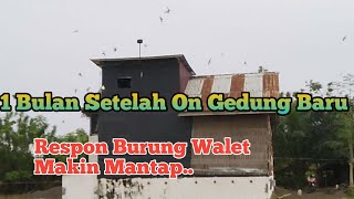 settingan volume Sp Anti Galau Sufar sinar 77 ‼️ Sp Tripel Queen