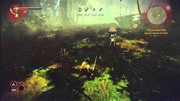 The Witcher 2: Assassins Of Kings Enhanced Edition HD Playthrough Walkthrough Part 17