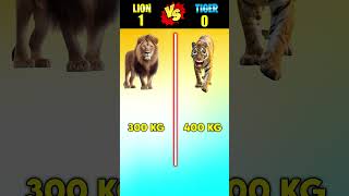 Lion vs Tiger 😎 | #shorts #lion #tiger #lionvstiger #viral