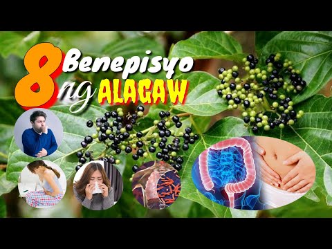 Video: Mga Alternatibo Sa Heavenly Bamboo – Ano ang Itatanim Sa halip na Nandina