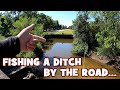 Fishing a small saltwater ditch by the road insane results