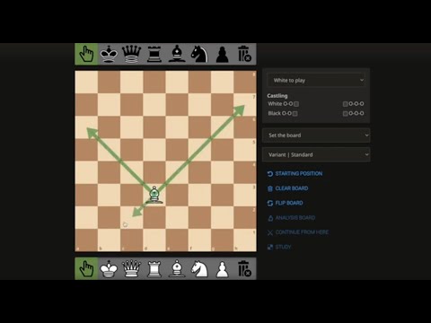 [Chess] The Basics of Chess (1) | Rules & Contents of Chess | 체스 배우기 | 서울외국인학교 11학년의 지식나눔