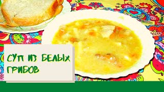 Грибной суп. Суп из белых грибов. Грибной суп. Суп из белых грибов.