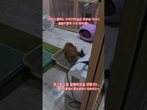 용식이할배는 요즘 넘의 똥간을 탐내다...(화장실이 불편햔지 배변배뇨가 불편한지)