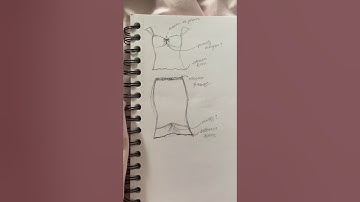 upcycle! #fashion #diy #sewing #upcycling #diyprojects #sewinghacks #aesthetic #fall #coquette #ootd