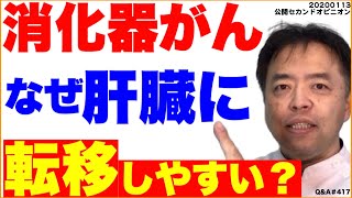 消化器がんはなぜ肝臓に転移しやすい？・Q&A#417