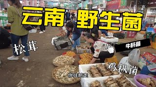 逛完昆明最大的野生菌交易市场必须得在木水花市场旁边来碗野生菌米线这趟云南才算妥当