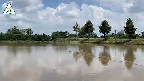 ĐẤT CÔNG QUỐC LỘ 61C CẦN THƠ _ HẬU GIANG