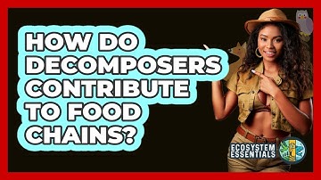 How Do Decomposers Contribute to Food Chains?