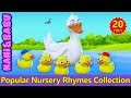 Five little ducks  nursery rhymes collection by nani and babu  baby sleep songs