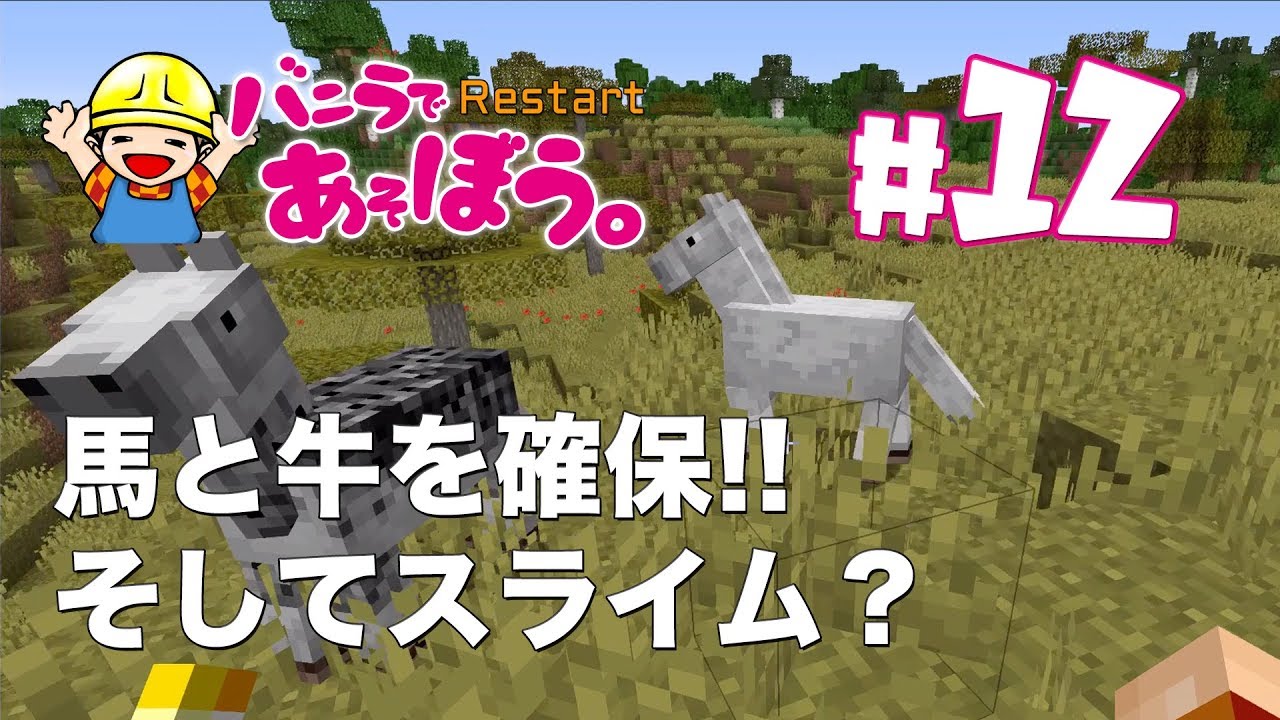 うりクラ 12 馬と牛の捕獲作戦 スライムチャンクの準備 マインクラフト Youtube