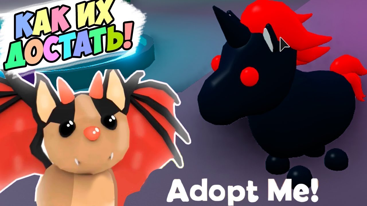 Картинки петов из adopt me