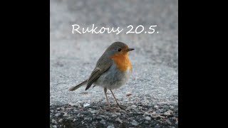 Rukous 20.5.