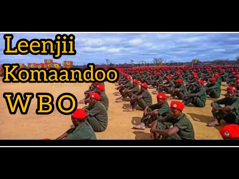 Leenjii Komaandoo Waraana Bilisummaa Oromoo WBO