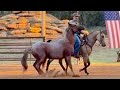 Is it Safe or Dangerous to pony a horse??