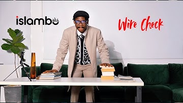 Wire Check Visualizer