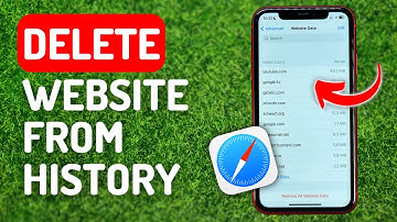 How to Delete Specific Websites From Safari History - Full Guide