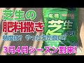 【庭の芝生】青々とした芝生を目指して！【肥料撒き】