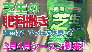 【庭の芝生】青々とした芝生を目指して！【肥料撒き】