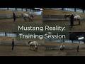 Mustang Reality: Spicy Lunging &amp; Spray Bottle Breakthroughs 🌶️💨