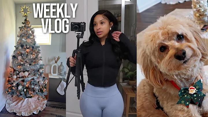 WEEKLY VLOG: FINALLY PUTTING UP MY TREE, DOG MOM D...