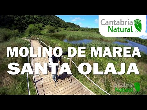 que ver en cantabria con bebe Rutas por CANTABRIA 👨👩👧👦 Molino de Marea Santa Olaja ARNUERO 👨👩👧👦 Cantabria con niños