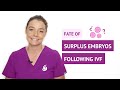 What happens to the excess unused embryos after an IVF treatment?