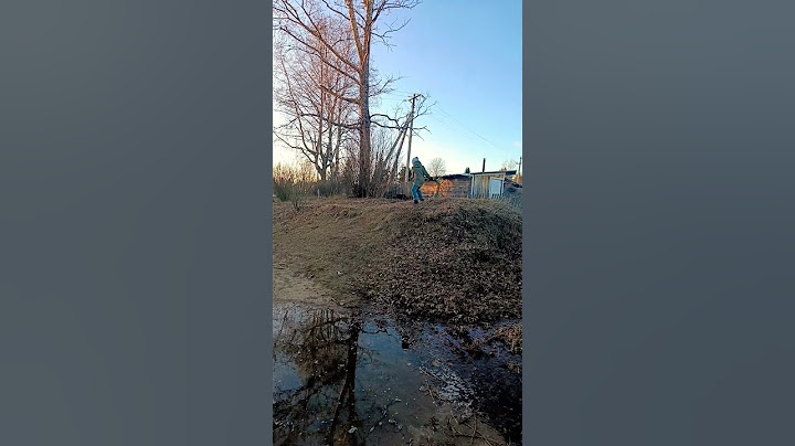 я люблю готовить но я даже не повар