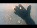 Un cimitero di monete (metal detector subacqueo) underwater metal detecting