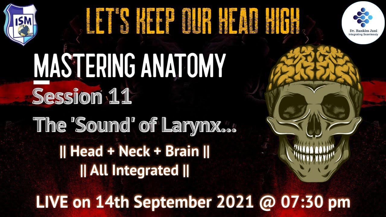 Mastering Anatomy - Head Neck Brain - The Larynx - so musical :)