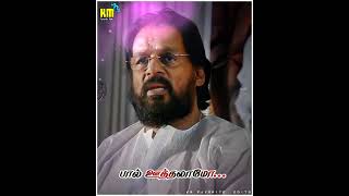 Aarariro padiyatharo song // ilaiyaraaja // kj Yesudas hits // sad feeling // thaikku oru thalattu