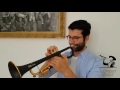 TrumpetScout Trompetenvergleich: Karbon gegen Messing | daCarbo
