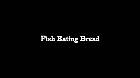 fish eating bread