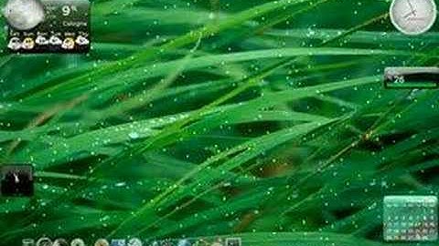 Compiz Fusion Gutsy..