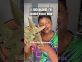"Unveiling My 3 Favorite Succulents – You Won't Believe #1!" #shorts #plants