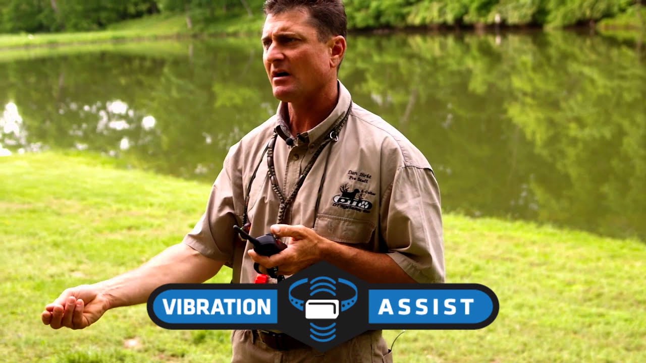 Dt systems 1820 Clearance