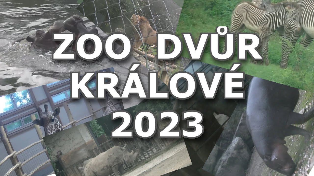 ZOO Dvůr Králové-2023