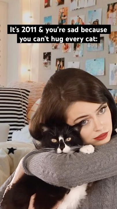 #millennials remember “Can’t Hug Every Cat,” Schmoyoho’s remix of Cara Hartmann’s viral video (2011)