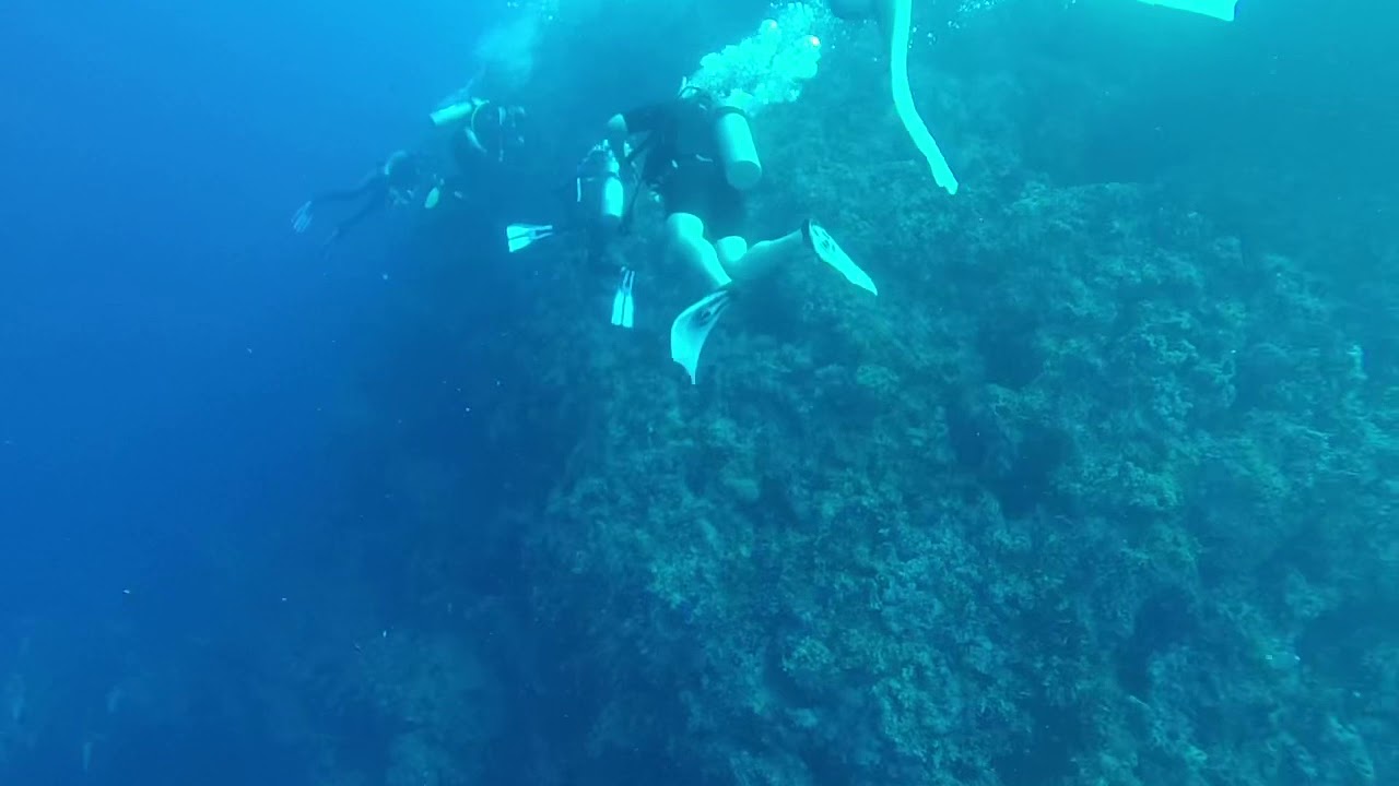 Diving Egypt YouTube