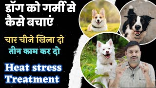 Dog ko Jyada Garmi Lage to Kya Karen Dog heat stress Treatment