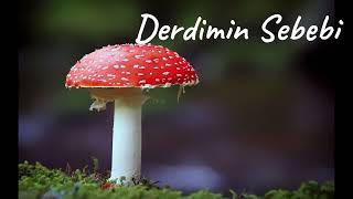 Derdimin Sebebi Resimi