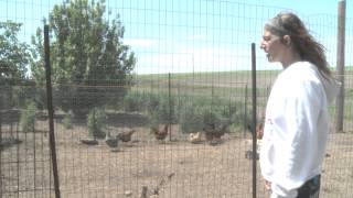 Bird flu hits largest outbreak in the U.S.