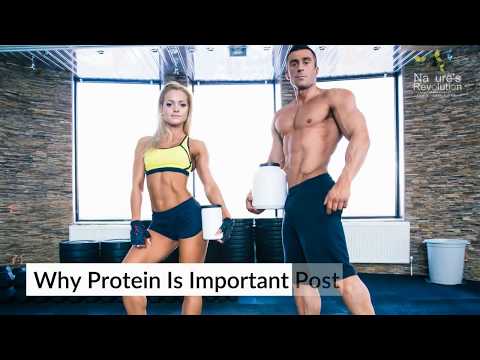 Why Protein Is Important Post Workout