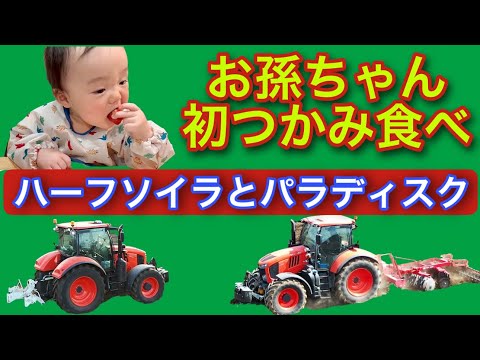 田舎のもの アイルランド田舎物語: わたしのふるさとは牧場だった | アリス