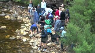 Pinnacles Tramp