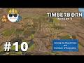 Solving the Wood Crisis and the Dawn of Automation - Timberborn S5 | Part 10