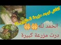 بغيتي توجد مزرعة🏞 لتربية الحلزون🐌🐌 و معرفتيش كفاش..🤔🤔دخل تشوف كفاش وجدت المزرعة ديالي☺☺