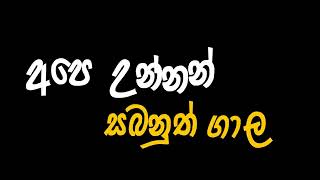 Download lagu Dimi3 - PUKA ( දෙන්න එපා )