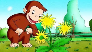 Curious George Keep Out Cows! Kids Cartoon Kids Movies Videos for Kids