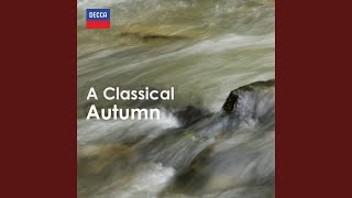 Vivaldi: Concerto for Strings in D Minor, RV 129 Madrigalesco: Ib. Allegro